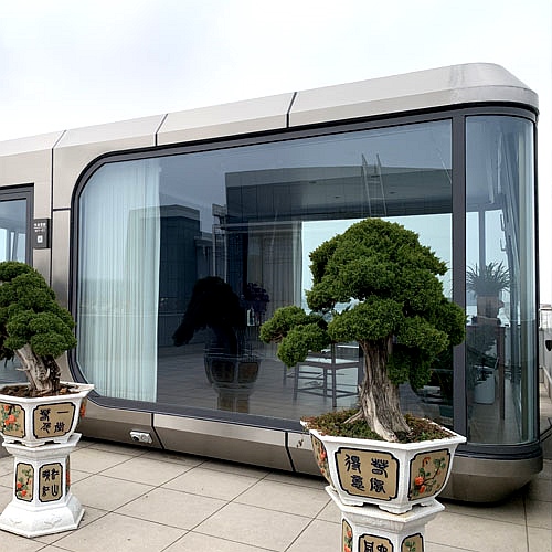 菠萝成人网站星舱